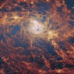 James Webb Space Telescope gazes into a galactic garden of budding stars