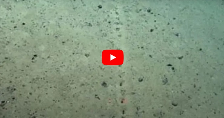 THOSE WEIRD HOLES ON THE FLOOR OF THE ATLANTIC OCEAN