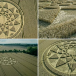 Huge crop circle draws visitors – Farmer asking £2 donations to cover cost